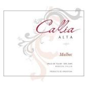Malbec Alta San Juan