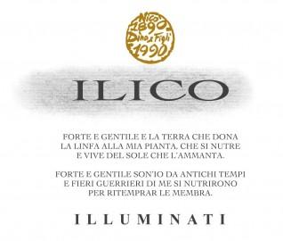 Illuminati - Ilico Montepulciano Dabruzzo NV